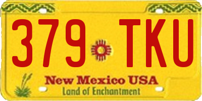 NM license plate 379TKU