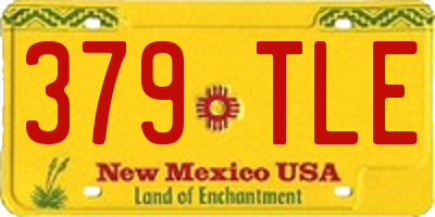 NM license plate 379TLE