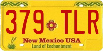 NM license plate 379TLR