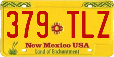NM license plate 379TLZ