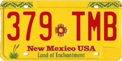 NM license plate 379TMB