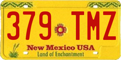 NM license plate 379TMZ