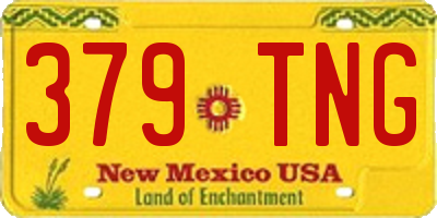 NM license plate 379TNG