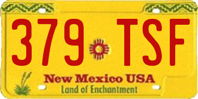 NM license plate 379TSF
