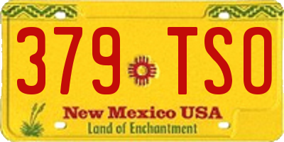 NM license plate 379TSO