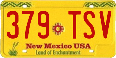 NM license plate 379TSV
