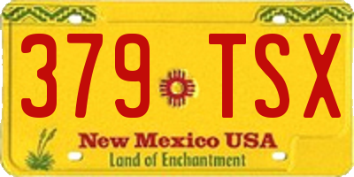 NM license plate 379TSX