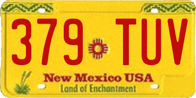 NM license plate 379TUV