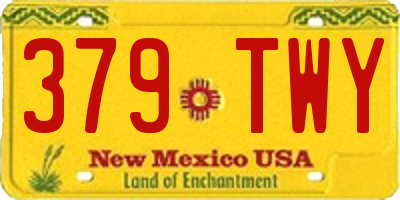 NM license plate 379TWY