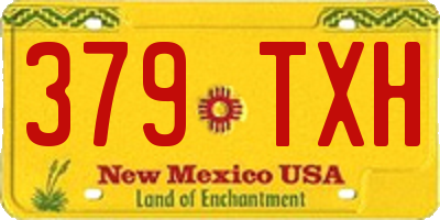 NM license plate 379TXH