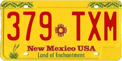 NM license plate 379TXM