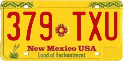 NM license plate 379TXU