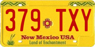 NM license plate 379TXY
