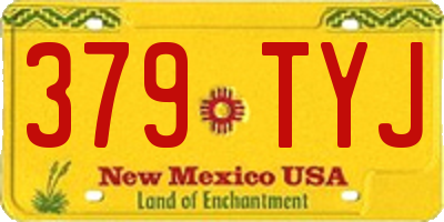 NM license plate 379TYJ