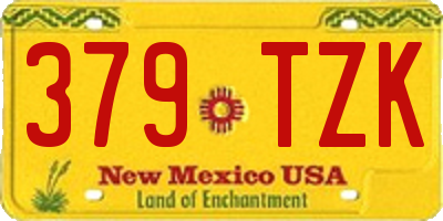 NM license plate 379TZK