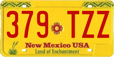 NM license plate 379TZZ