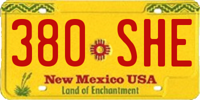 NM license plate 380SHE