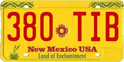 NM license plate 380TIB