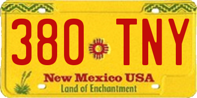 NM license plate 380TNY