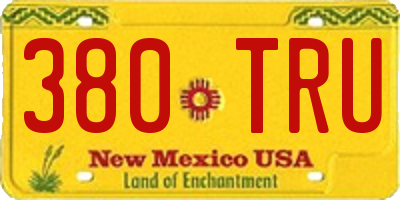 NM license plate 380TRU