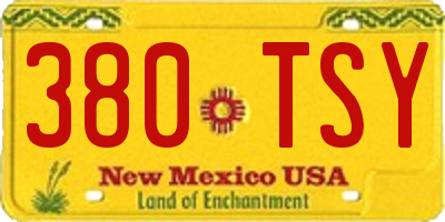 NM license plate 380TSY