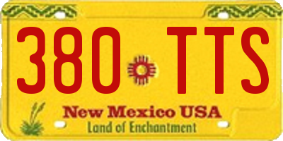 NM license plate 380TTS