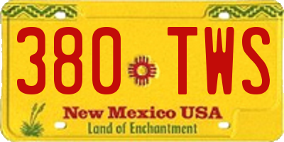 NM license plate 380TWS
