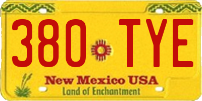 NM license plate 380TYE