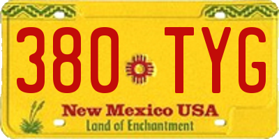 NM license plate 380TYG