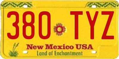 NM license plate 380TYZ