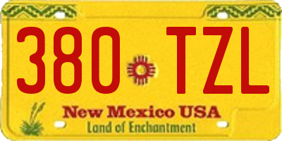 NM license plate 380TZL