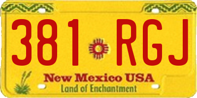 NM license plate 381RGJ