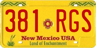 NM license plate 381RGS
