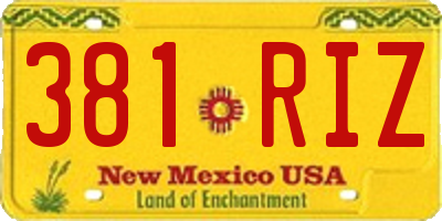 NM license plate 381RIZ