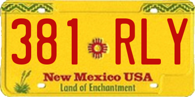 NM license plate 381RLY