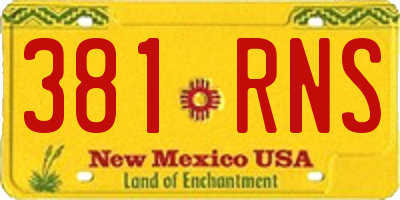 NM license plate 381RNS