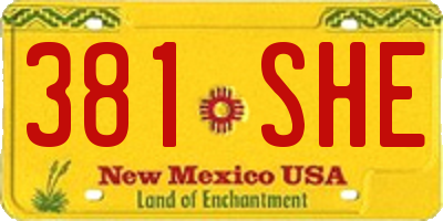 NM license plate 381SHE