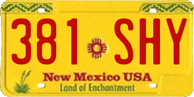NM license plate 381SHY