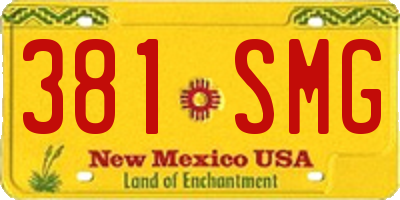 NM license plate 381SMG