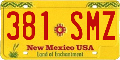 NM license plate 381SMZ
