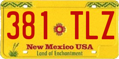 NM license plate 381TLZ