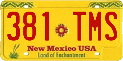 NM license plate 381TMS