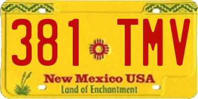 NM license plate 381TMV