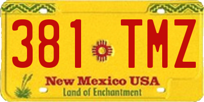 NM license plate 381TMZ