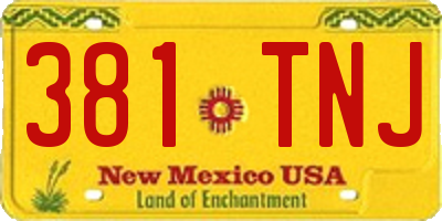 NM license plate 381TNJ