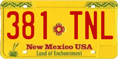 NM license plate 381TNL