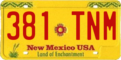 NM license plate 381TNM