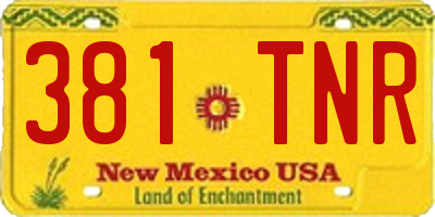 NM license plate 381TNR