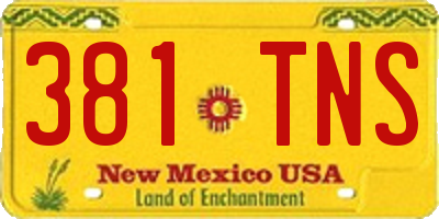 NM license plate 381TNS