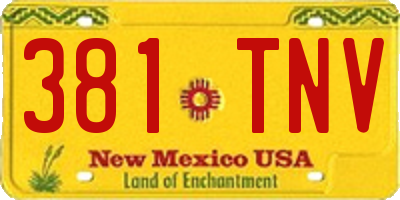 NM license plate 381TNV
